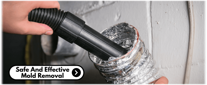 Air Duct Mold Removal in Baltimore