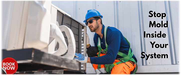 HVAC Mold Removal Baltimore